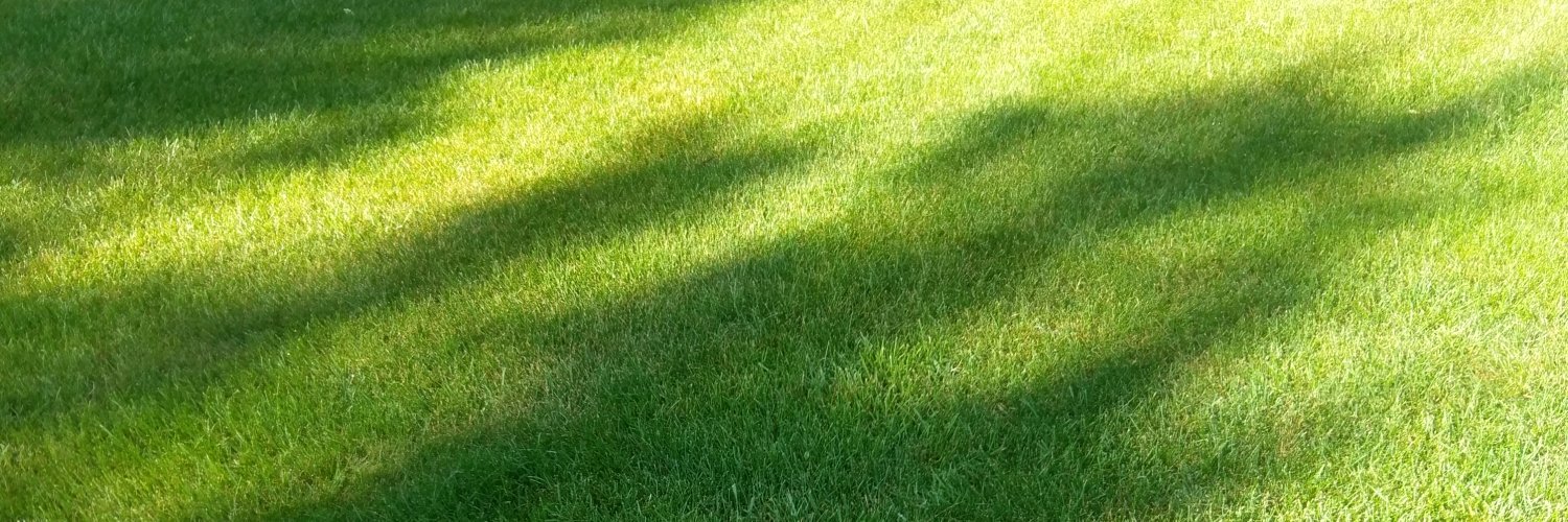 Trizzone52's profile banner image