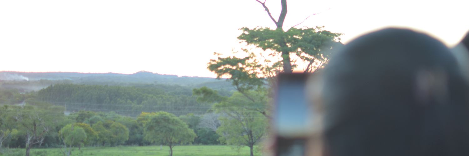 lulysanchez_'s profile banner image