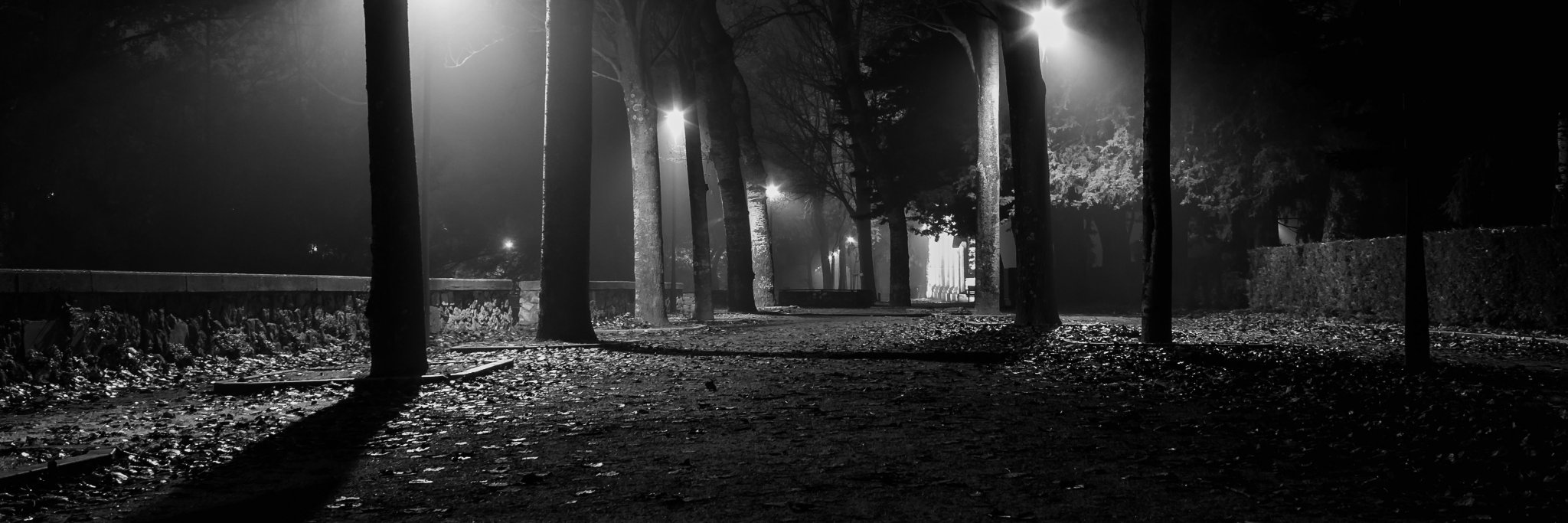 ernestojrm's profile banner image