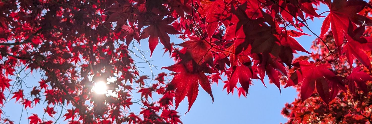 samwwjd's profile banner image