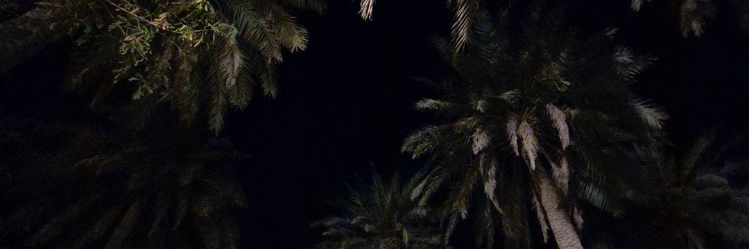 ˚✦⋆ banner