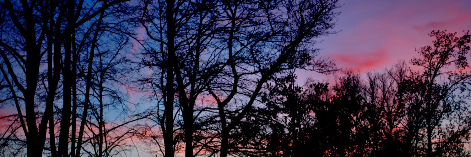 AmelieCroac's profile banner image