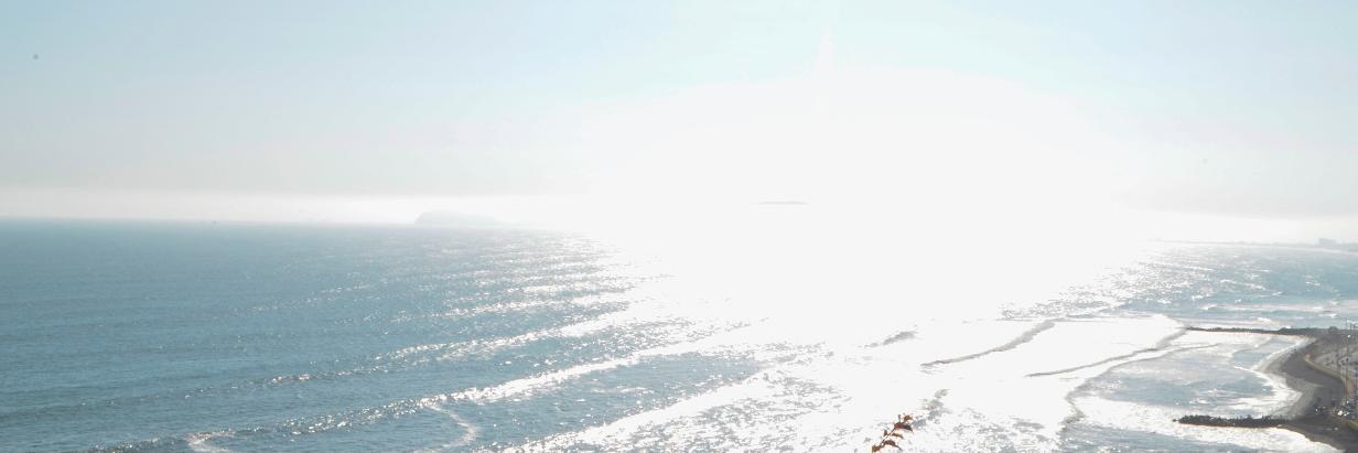 ingridjanelle's profile banner image