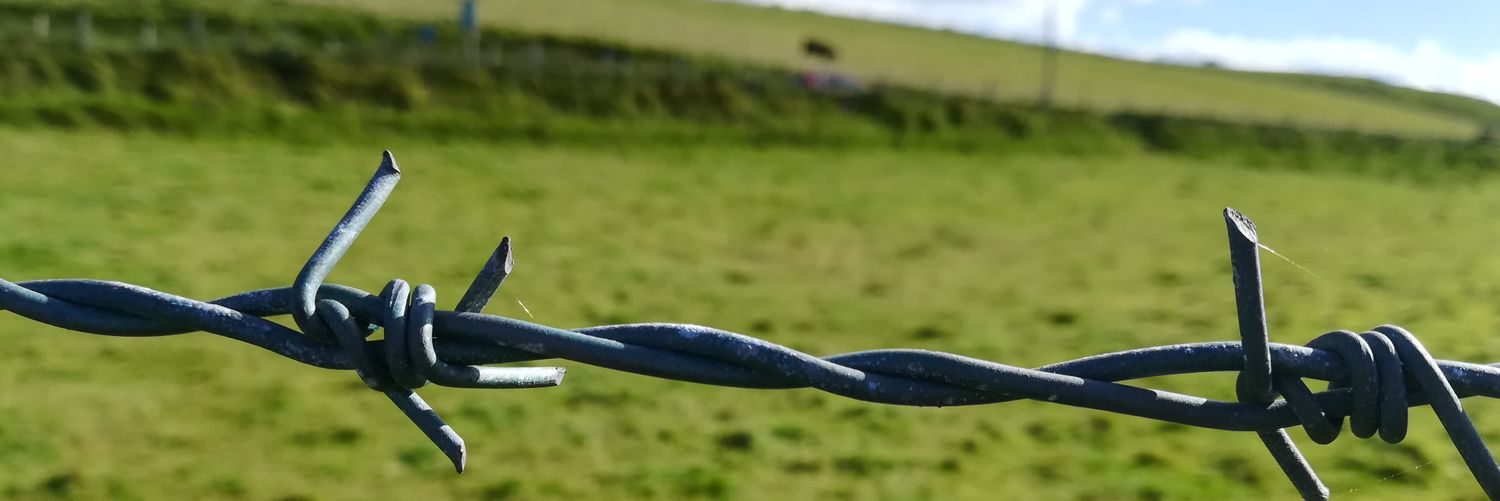 pedroakapiter's profile banner image