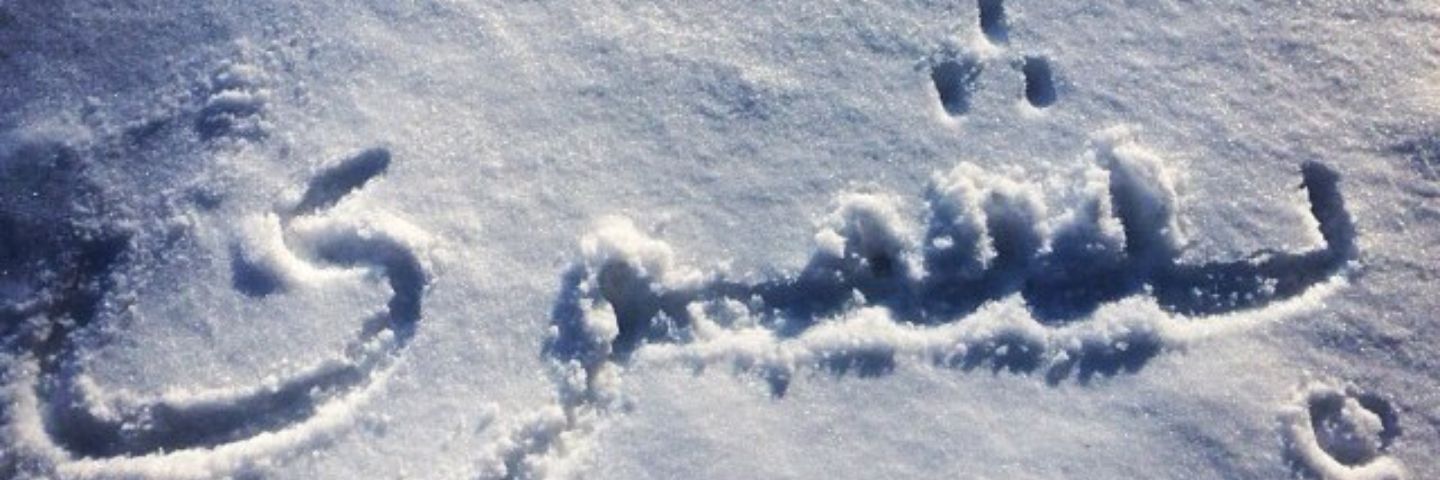 iBushra77's profile banner image