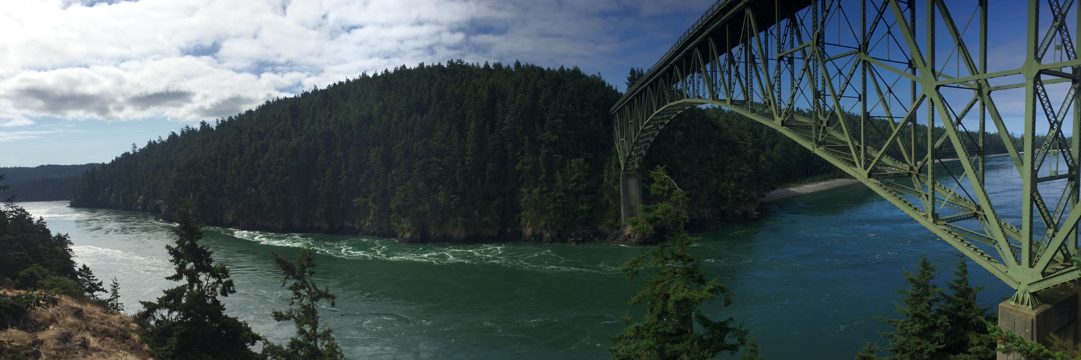 Dr. Jessica Menold banner