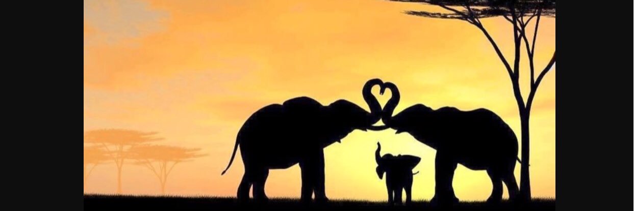 elymayhud's profile banner image