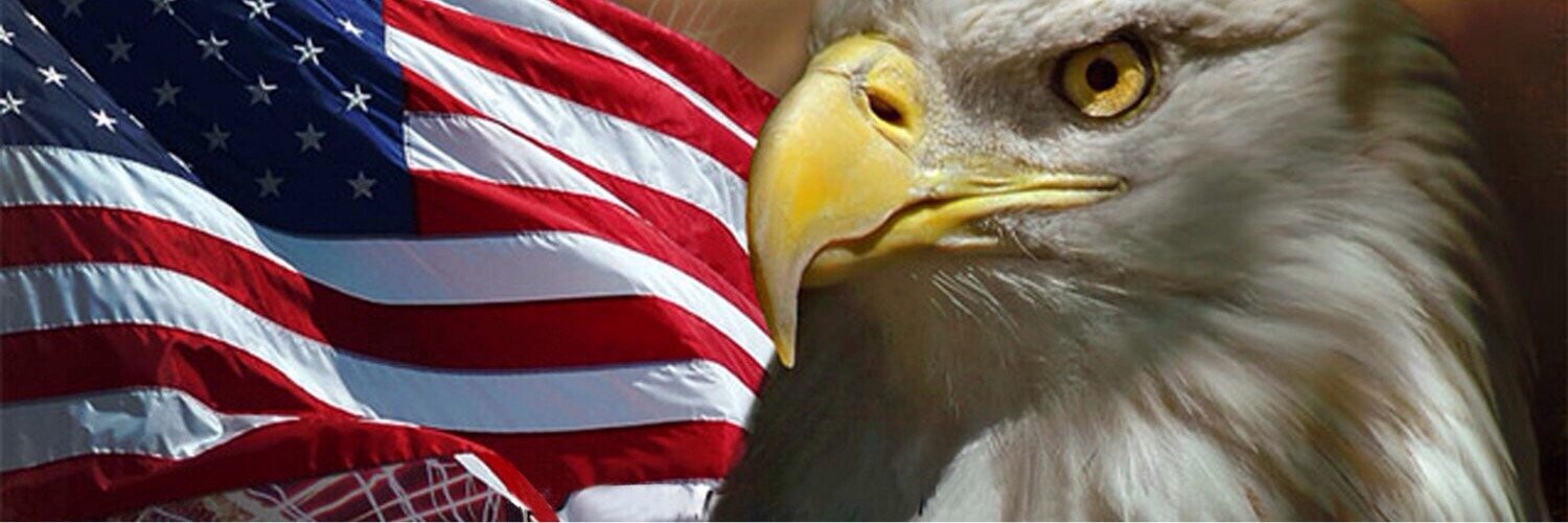 terriewitte's profile banner image