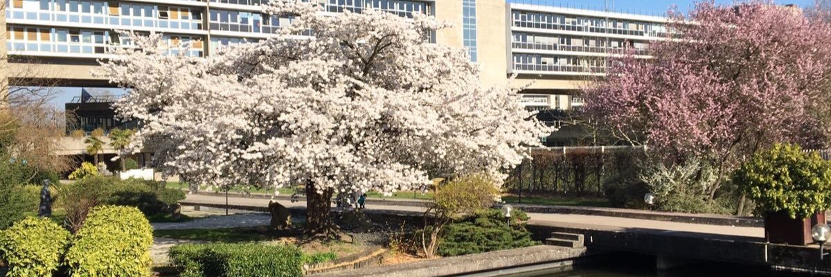 DeborahMeier's profile banner image