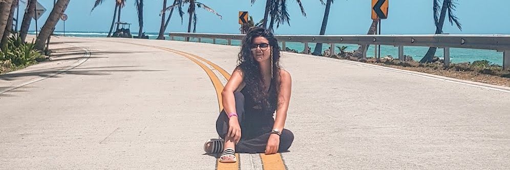 Danidota's profile banner image
