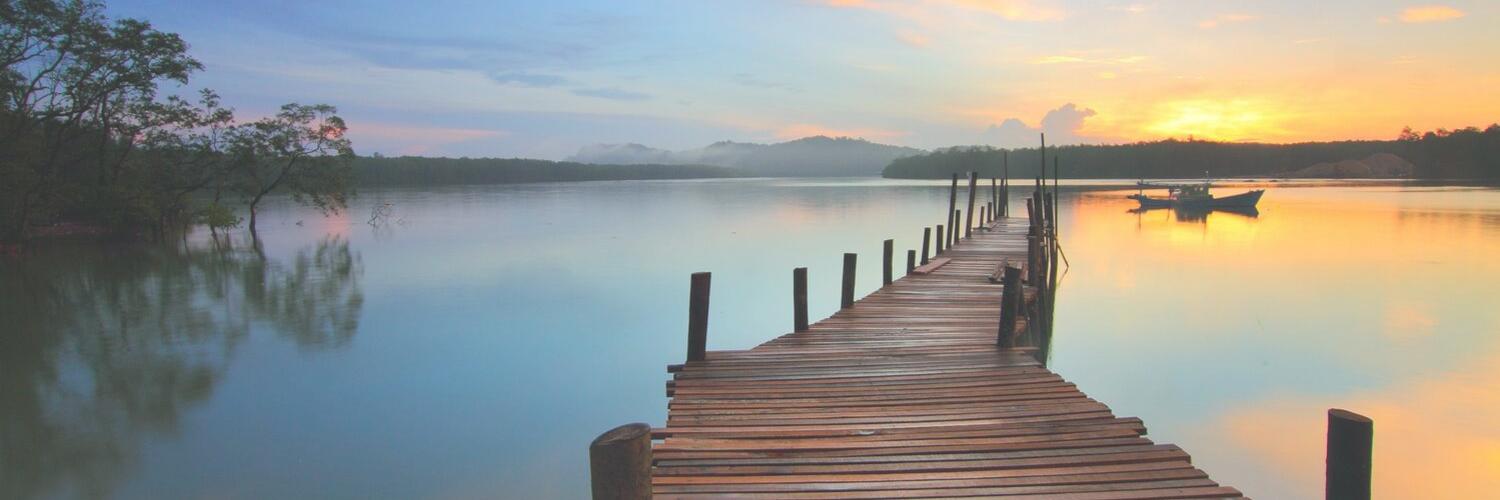 Virginia Ramamisoa banner