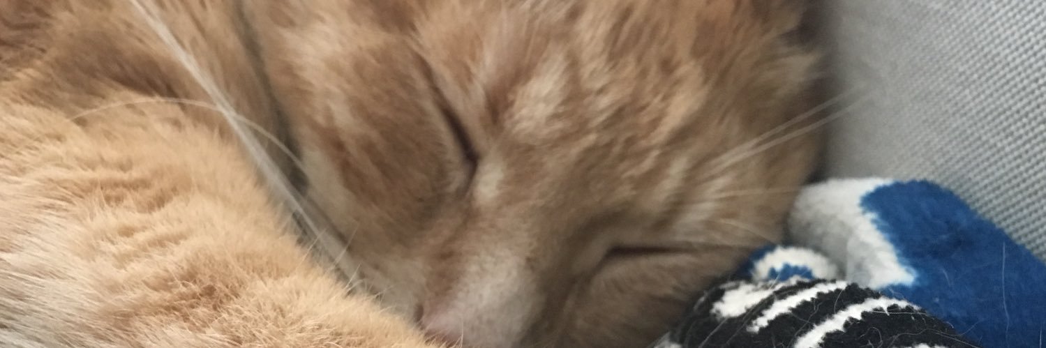clogancm's profile banner image
