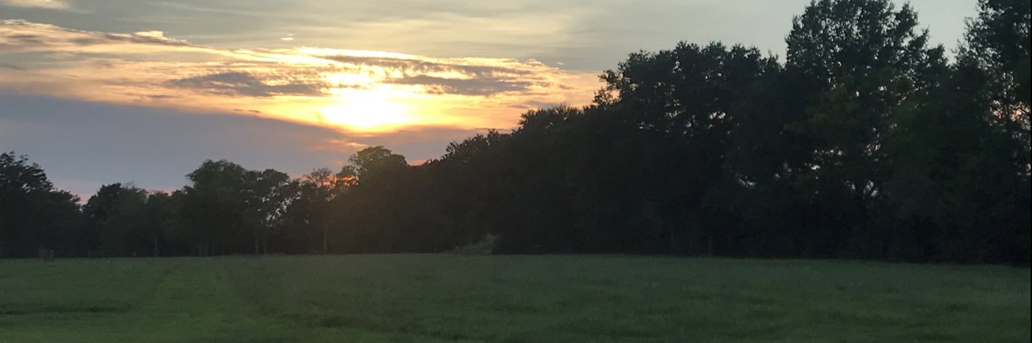 dmgliberty's profile banner image