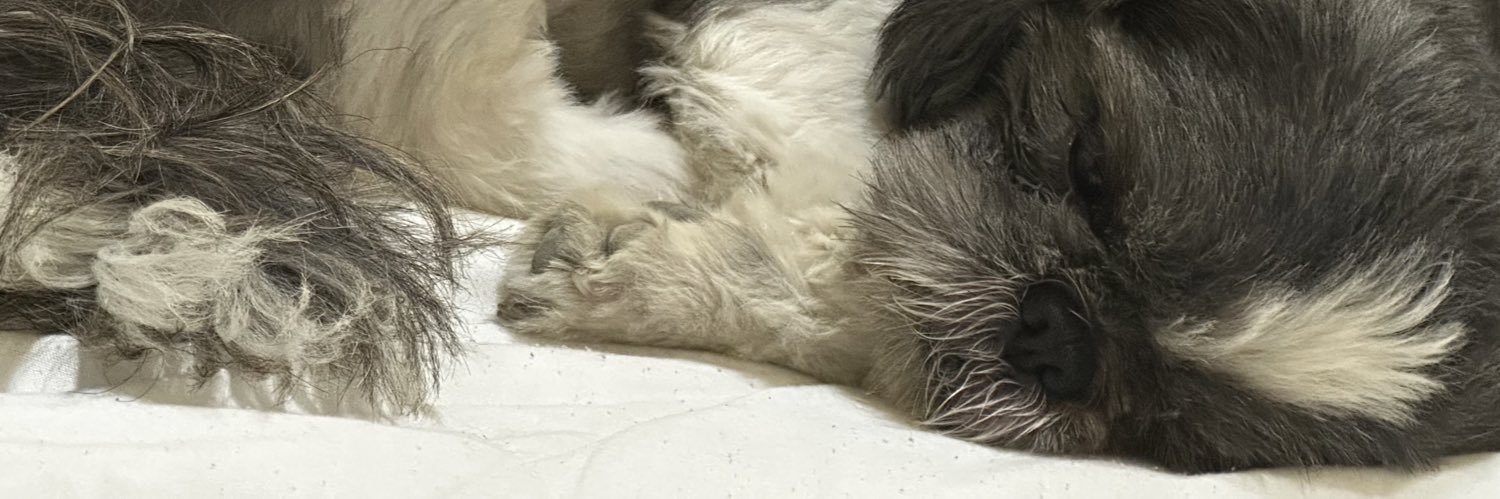 XimeGuzman's profile banner image