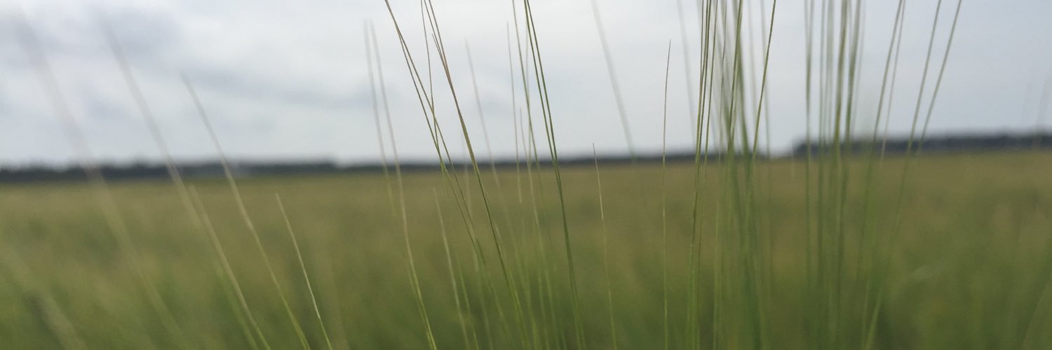 simbot1998's profile banner image