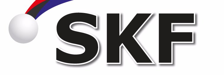 ttvSKF's profile banner image