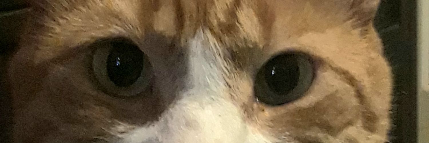 Kevthegeek's profile banner image