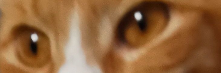MaricoPerez's profile banner image