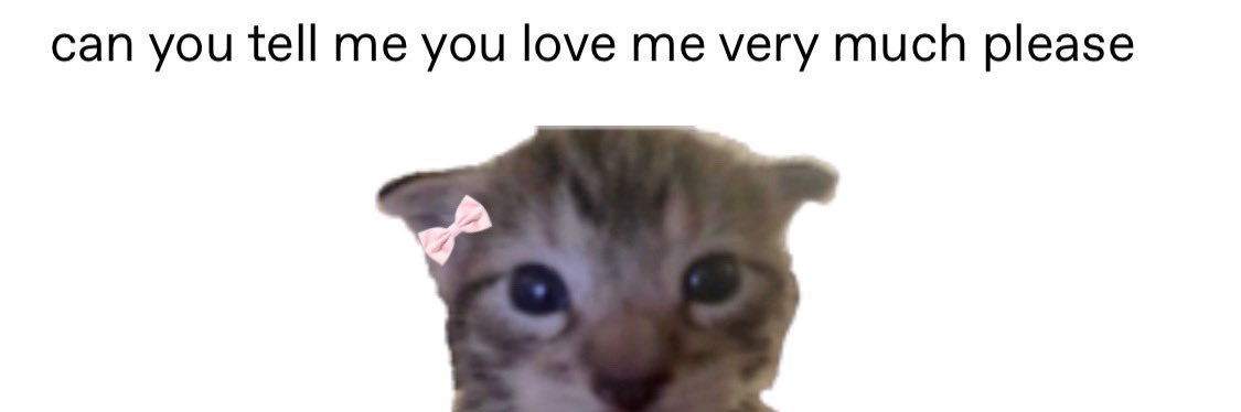 lav3nderbud's profile banner image