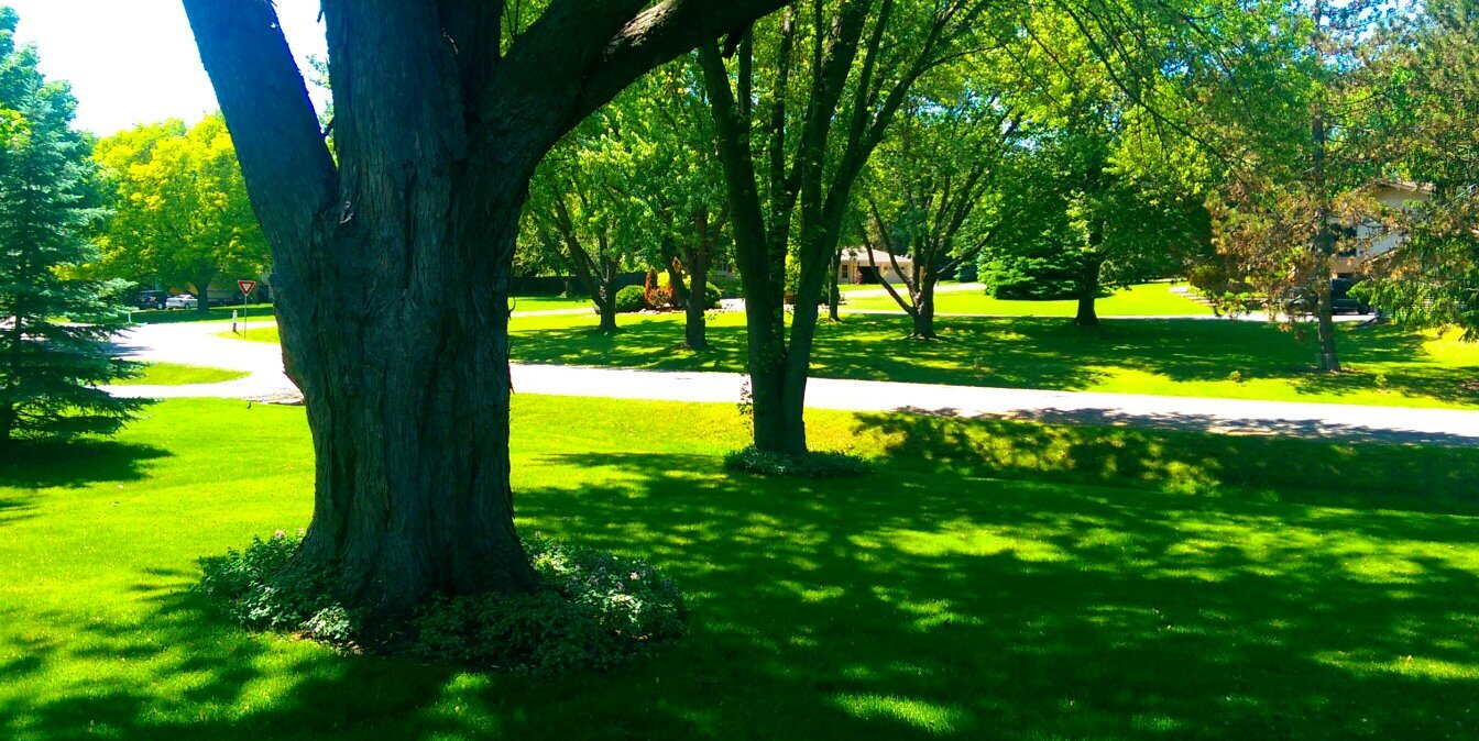 kathy_loftus's profile banner image