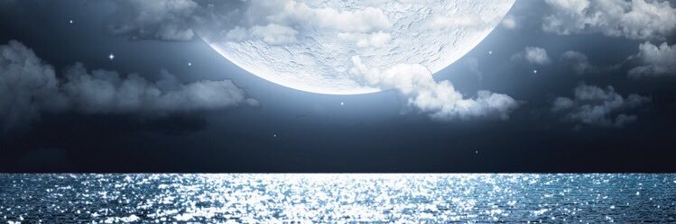 Sharks_T's profile banner image