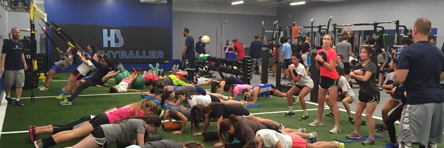 HEALTHY BALLER banner