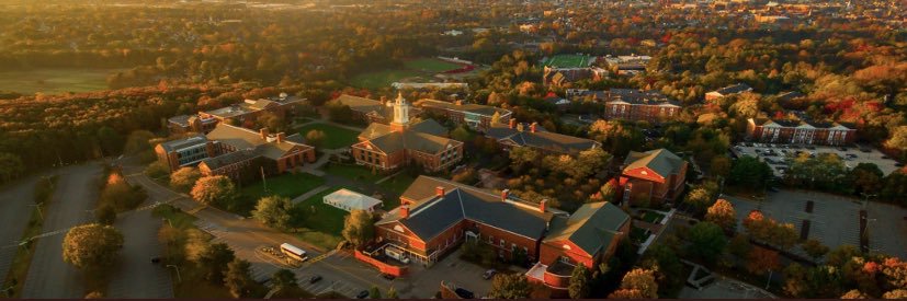 Courtney Finn banner