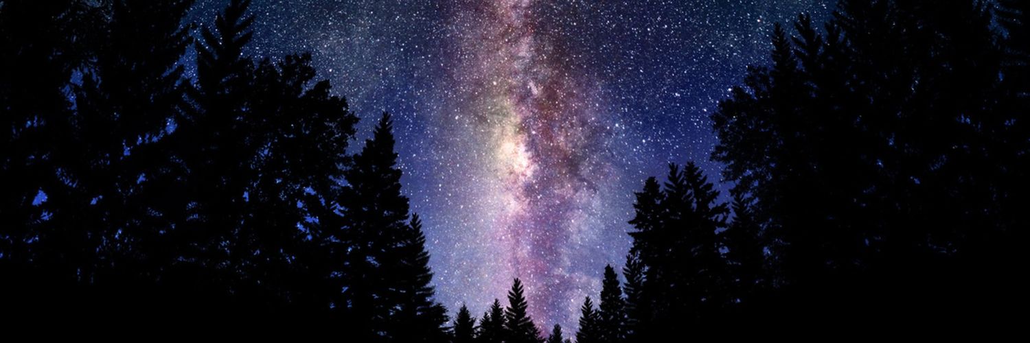 Nicskys's profile banner image