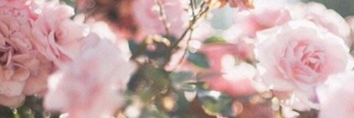 FennevanBoxmeer's profile banner image