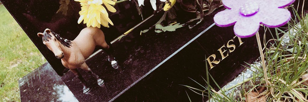 cemgrx's profile banner image