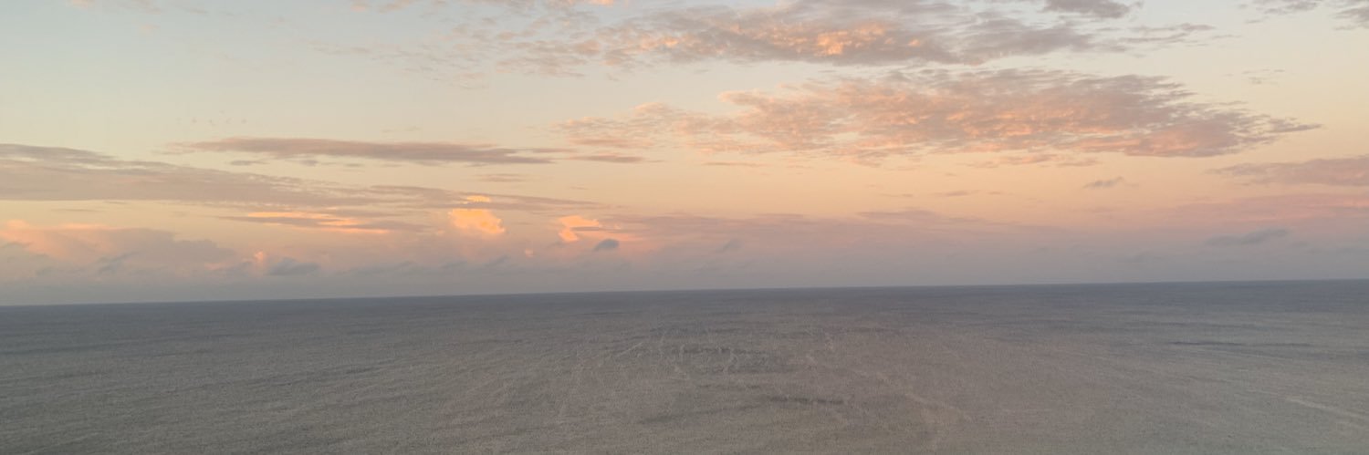 Shannon Hammonds banner