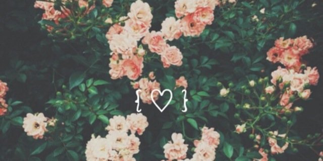 Cindyy631's profile banner image
