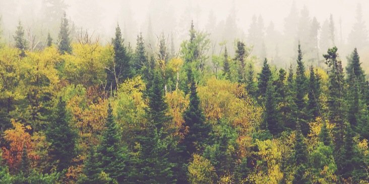 JasperSmythe's profile banner image