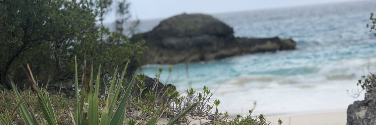 acw_15's profile banner image