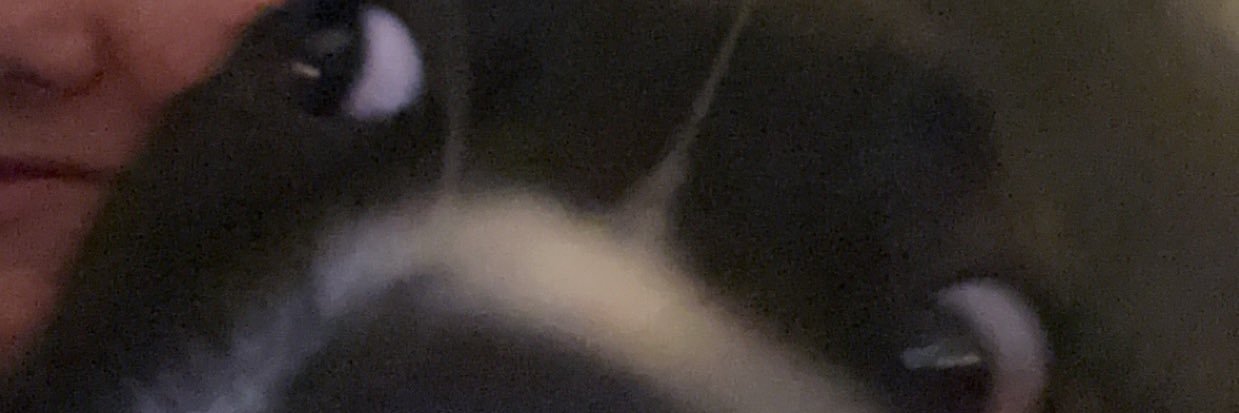 AlexLittlejohn1's profile banner image