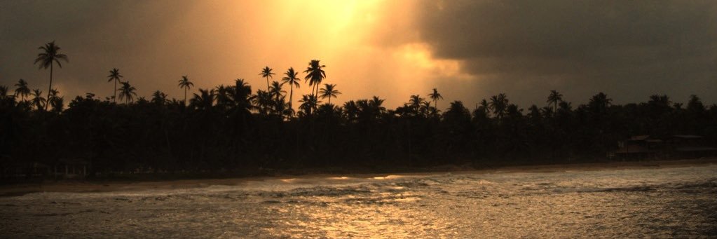 hausechildpty's profile banner image