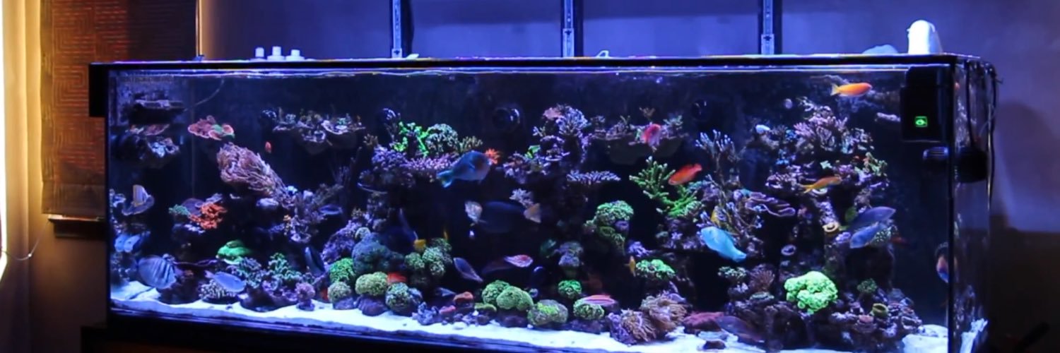 elboster81's profile banner image