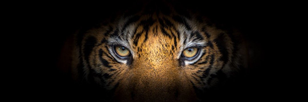 0189Burak's profile banner image