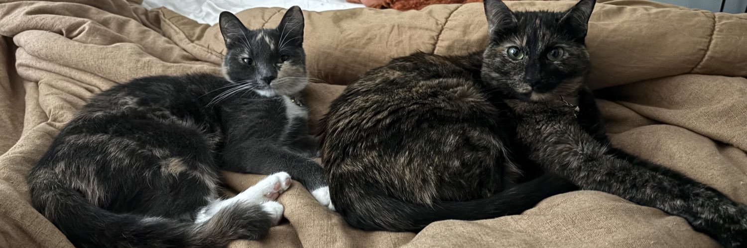 prodsnobz's profile banner image