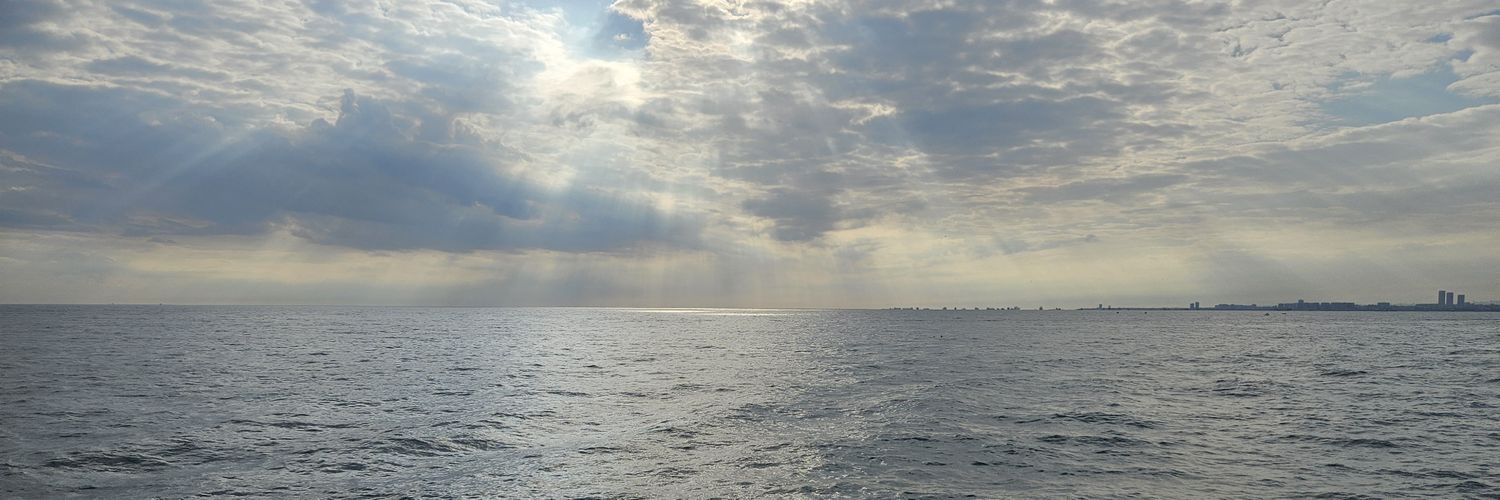 adaaali's profile banner image