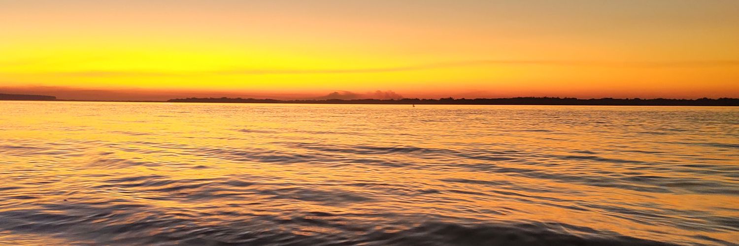 BeetiFranco's profile banner image