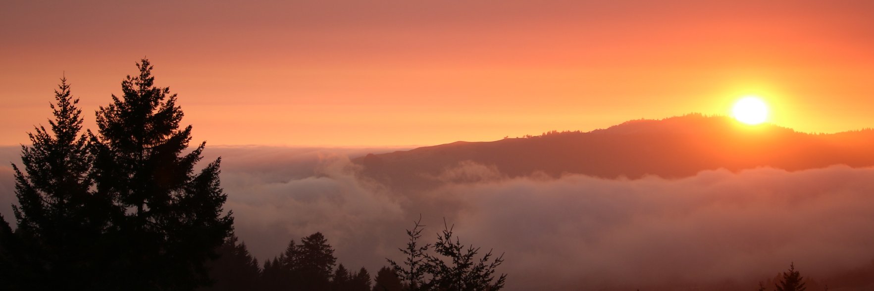 TrueHumboldt's profile banner image