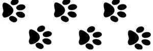 PalmettoParcels's profile banner image