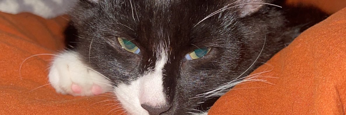 MakiaSchuelke's profile banner image