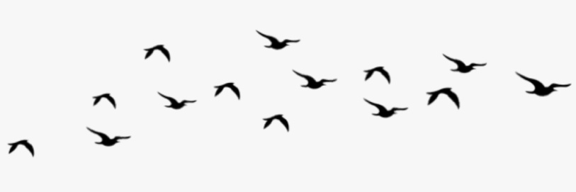 maricarmenvr5's profile banner image