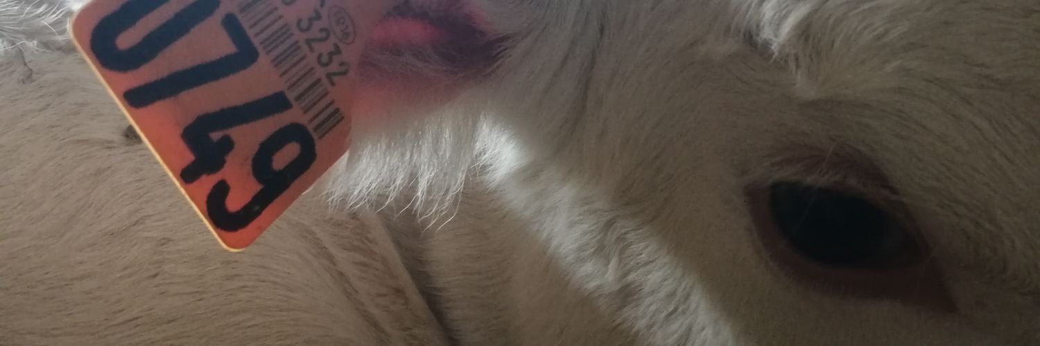 Exploitation Lycée Neuvy banner