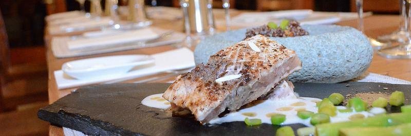 Hayes Producciones banner