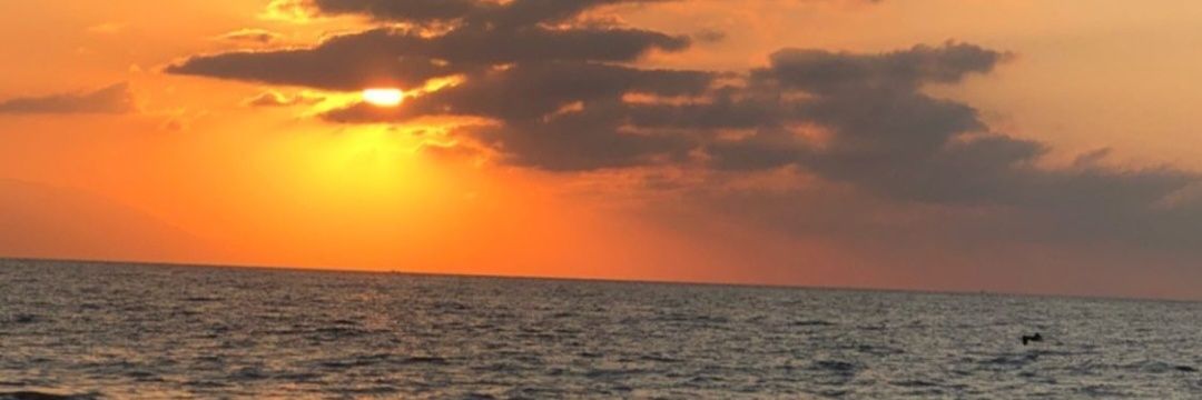 Katemonserratt's profile banner image