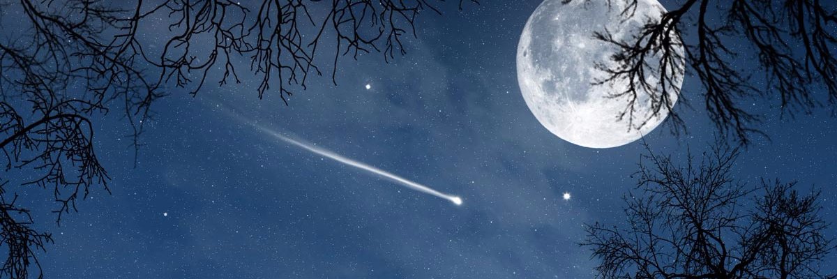 leomoncada1's profile banner image