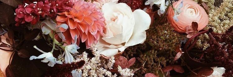 _KathleenAnne's profile banner image